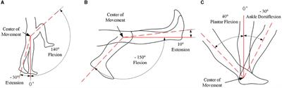 Design and motion control of exoskeleton robot for paralyzed lower limb rehabilitation